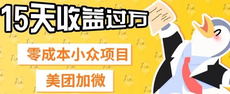 零成本小众项目，美团加微，一单4.5+，15天已经有人赚上万收益-网创论坛