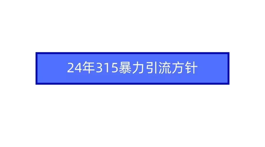 (9398期)2024年315暴力引流方针-网创论坛
