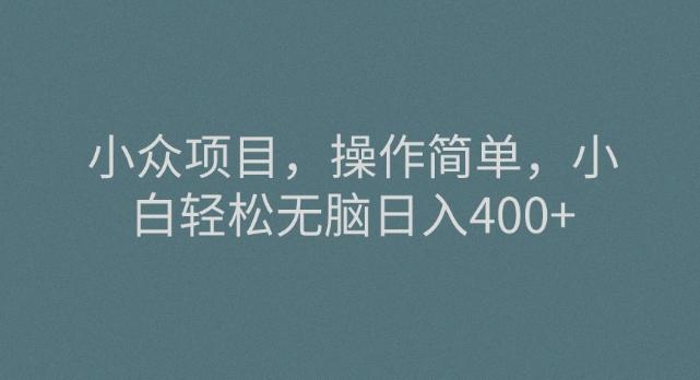 小众项目，操作简单，小白轻松无脑日入400+-网创论坛