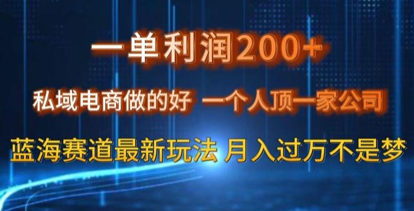一单利润200私域电商做的好，一个人顶一家公司蓝海赛道最新玩法【揭秘】-网创论坛