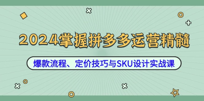 2024掌握拼多多运营精髓：爆款流程、定价技巧与SKU设计实战课-网创论坛