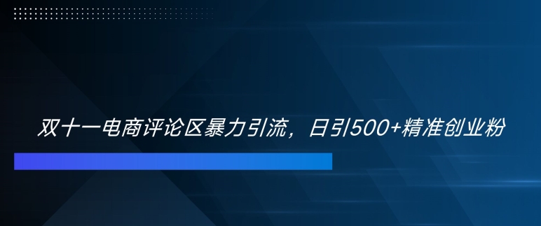 双十一电商评论区暴力引流，日引500+精准创业粉【揭秘】-网创论坛