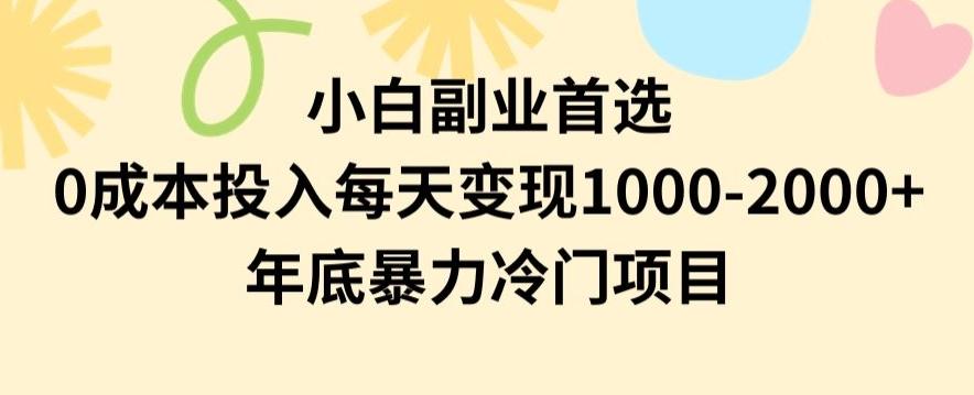 小白副业首选，0成本投入，每天变现1000-2000年底暴力冷门项目【揭秘】-网创论坛