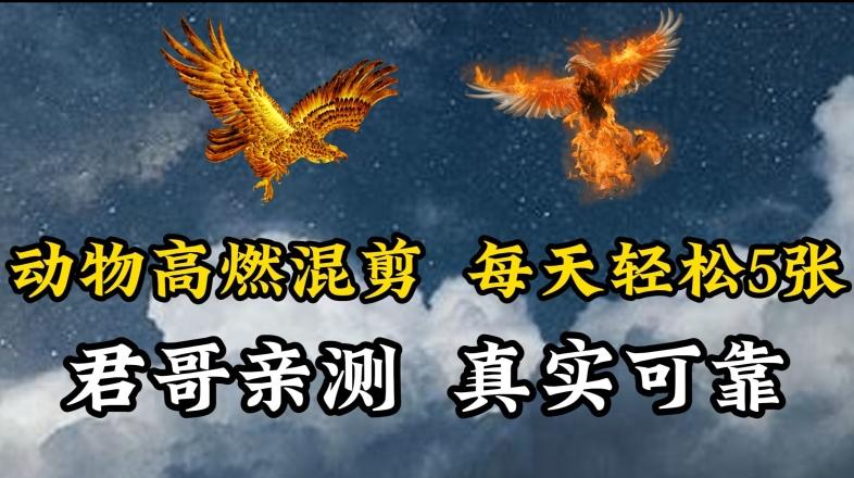 动物超燃混剪，每天轻松5张，剪辑简单大家爱看【揭秘】-网创论坛