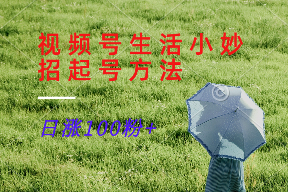 视频号生活小妙招分享赛道， 起号涨粉新方法，日涨100粉-网创论坛
