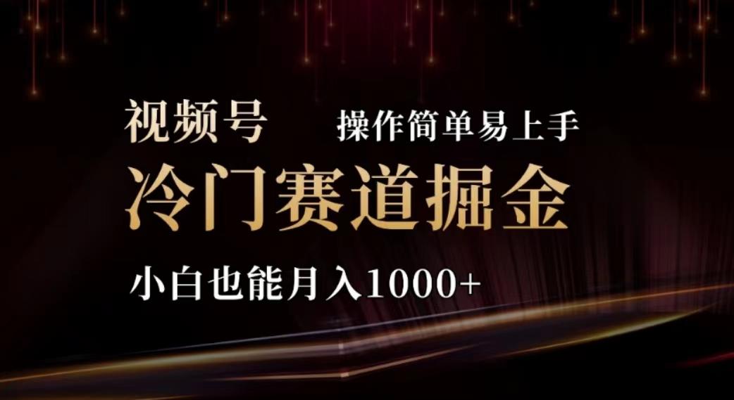 2024视频号冷门赛道掘金，操作简单轻松上手，小白也能月入1000+-网创论坛
