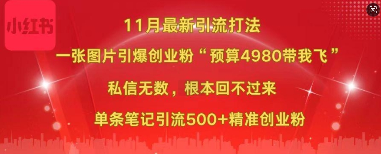 小红书11月最新图片打粉，一张图片引爆创业粉，“预算4980带我飞”，单条引流500+精准创业粉-网创论坛