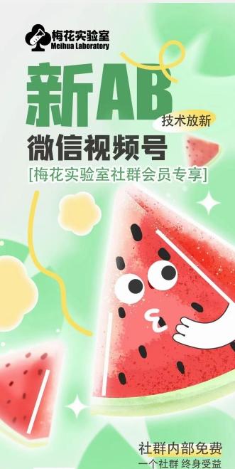 梅花实验室2024年AB技术视频号AB合成破解版-网创论坛