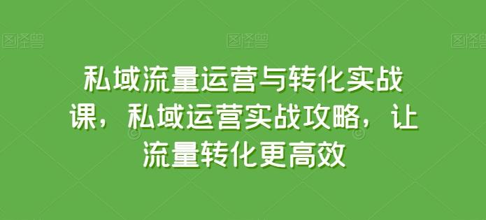 私域流量运营与转化实战课，私域运营实战攻略，让流量转化更高效-网创论坛