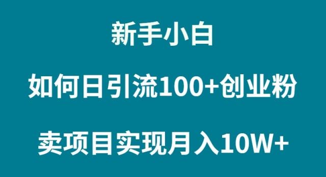 (9556期)新手小白如何通过卖项目实现月入10W+-网创论坛