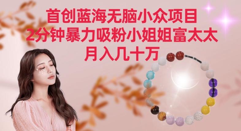 首创蓝海无脑小众项目，2分钟暴力吸粉小姐姐富太太，月入几十万【揭秘】-网创论坛