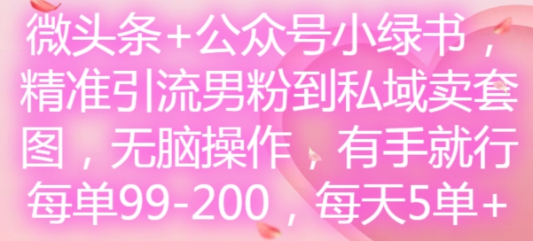 微头条+公众号小绿书，精准引流男粉到私域卖套图，无脑操作，有手就行，每单99-200，每天5单-网创论坛