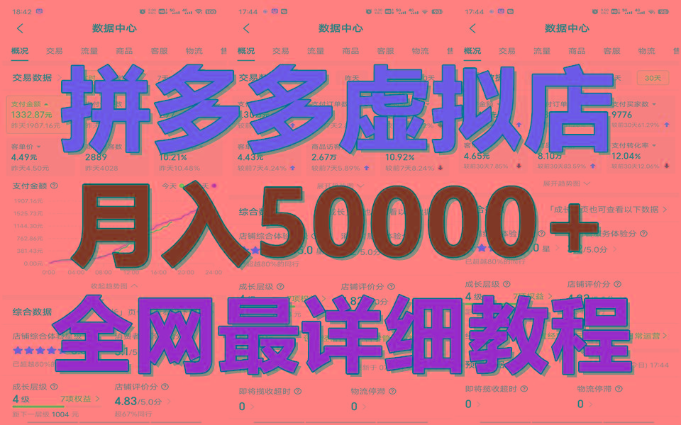 拼多多虚拟电商训练营月入50000+你也行，暴利稳定长久，副业首选-网创论坛