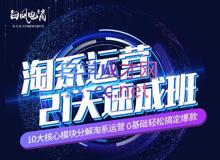 淘系运营21天速成班(更新24年6月)-网创论坛