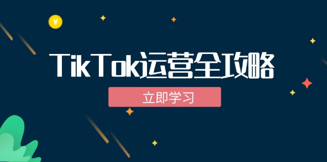 TikTok实战运营全攻略：从下载软件到变现，抖音海外版实操教程-网创论坛