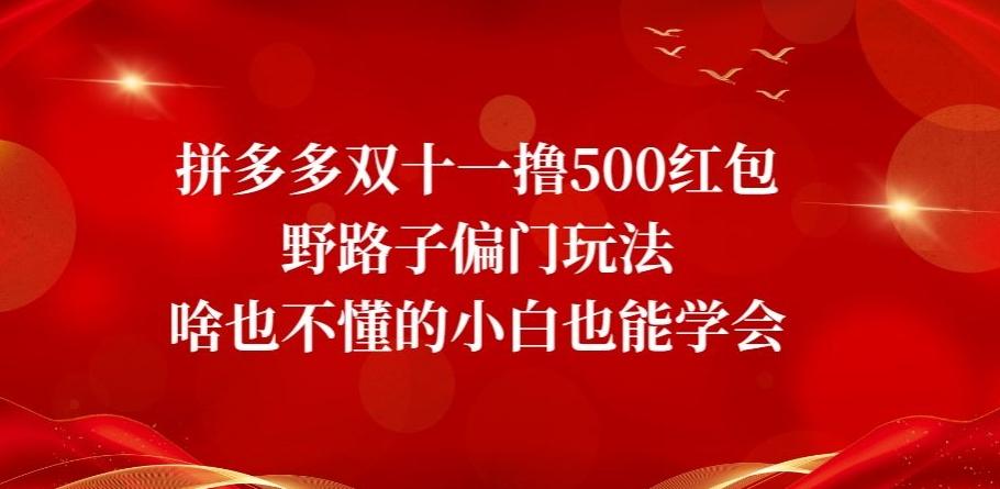 拼多多双十一撸500红包野路子偏门玩法，啥也不懂的小白也能学会【揭秘】-网创论坛
