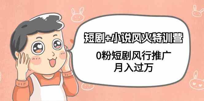 小说+短剧风火特训营，0粉短剧小说风行推广，实现月入过万-网创论坛